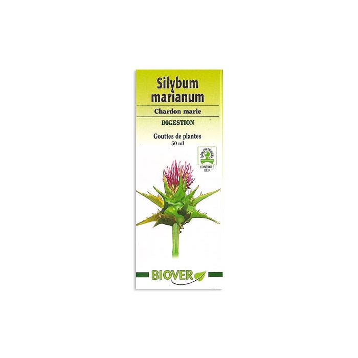 BIOVER GOUTTES DE PLANTES SILYBUM MARIANUM CHARDON MARIE DIGESTION 50ML