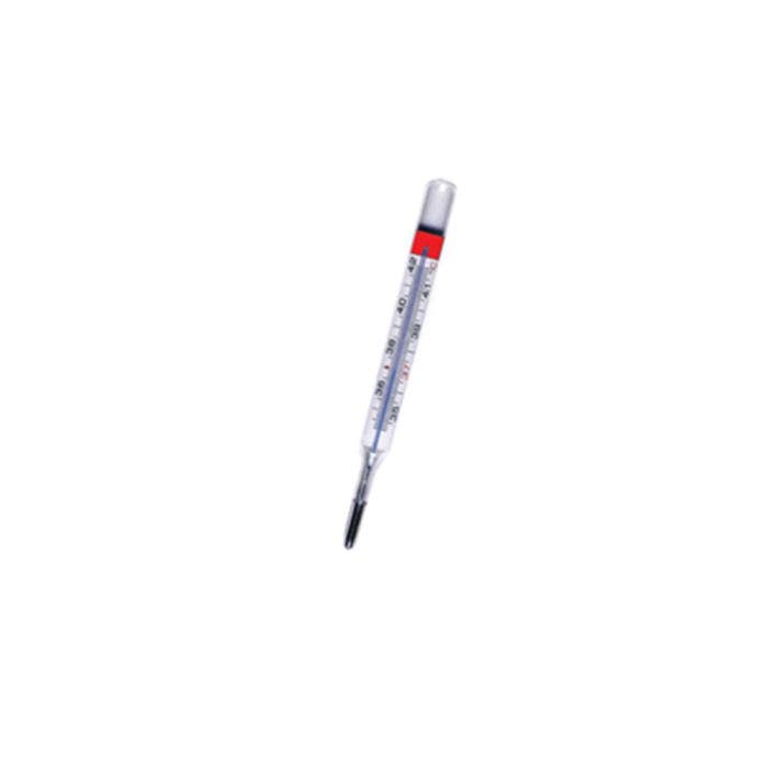 Thermometre Gallium Torm