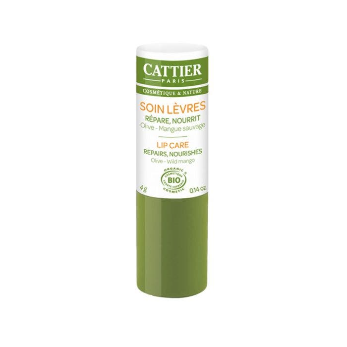 Stick Levres Soin Bio 4g Cattier