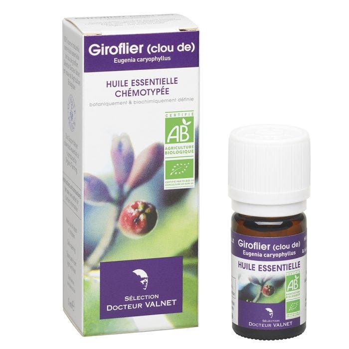 HUILE ESSENTIELLE GIROFLIER (CLOU DE) BIO 5ml Dr. Valnet