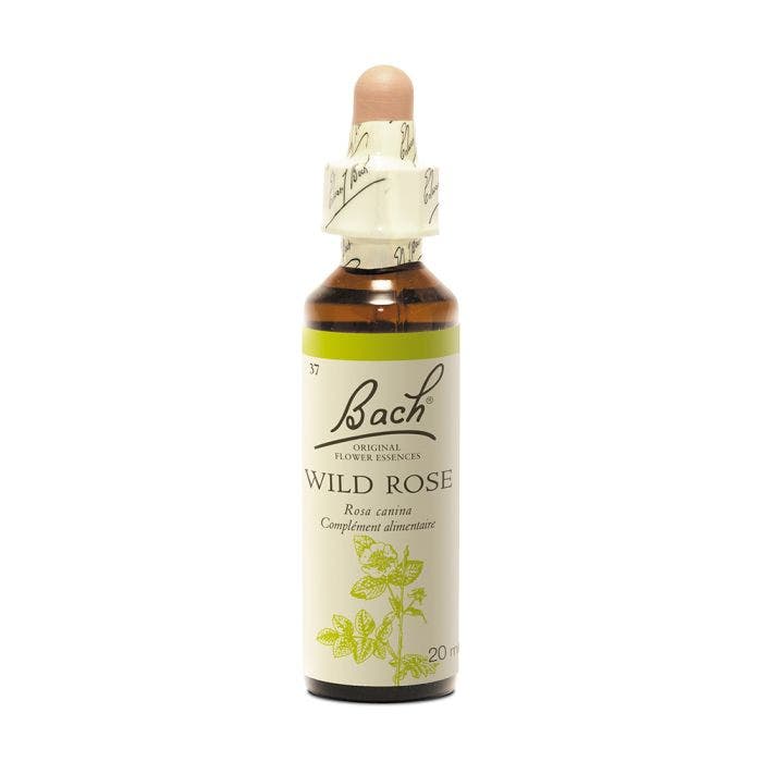 N°37 Wild Rose 20ml Fleurs de Bach Original