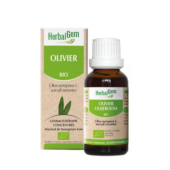 Olivier Bio 30ml Herbalgem