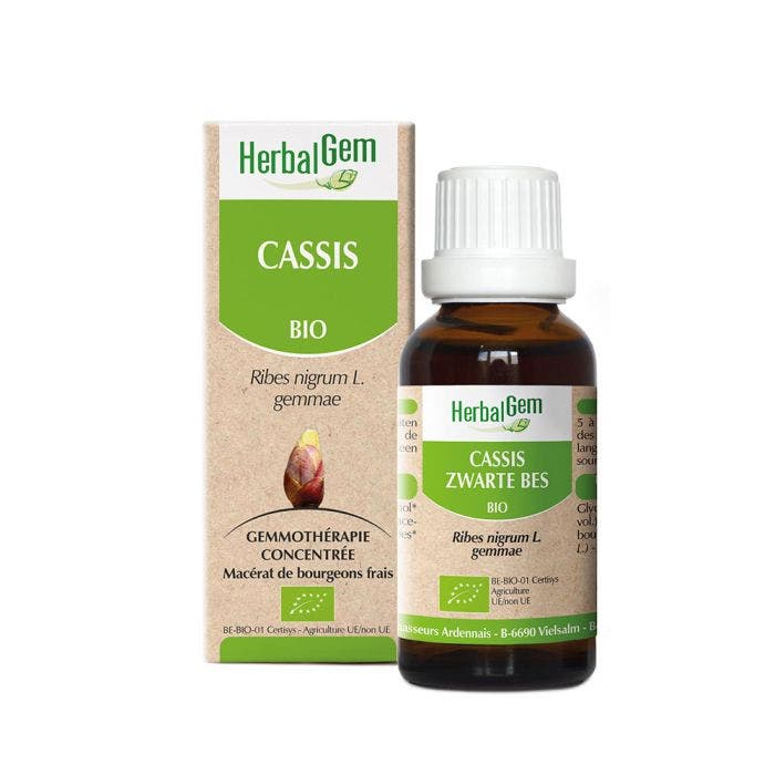Cassis Bio 30ml Herbalgem