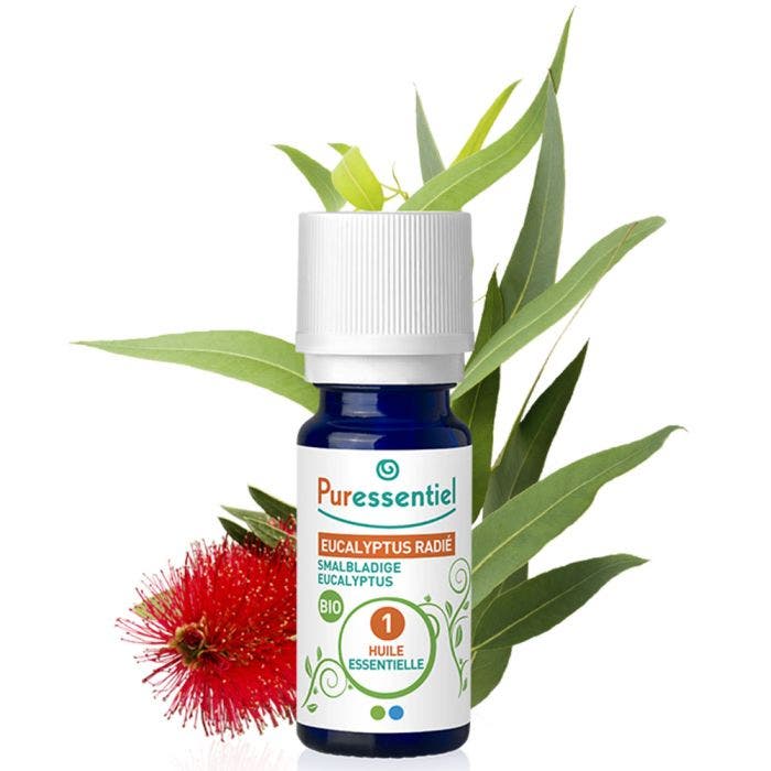 Eucalyptus Radié BIO 30ml Huiles Essentielles Puressentiel