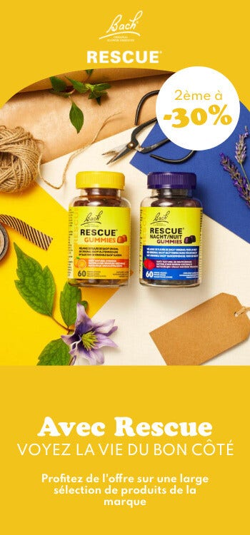 Profitez d'une offre jusqu'à -30% sur une sélection de la marque Bach !